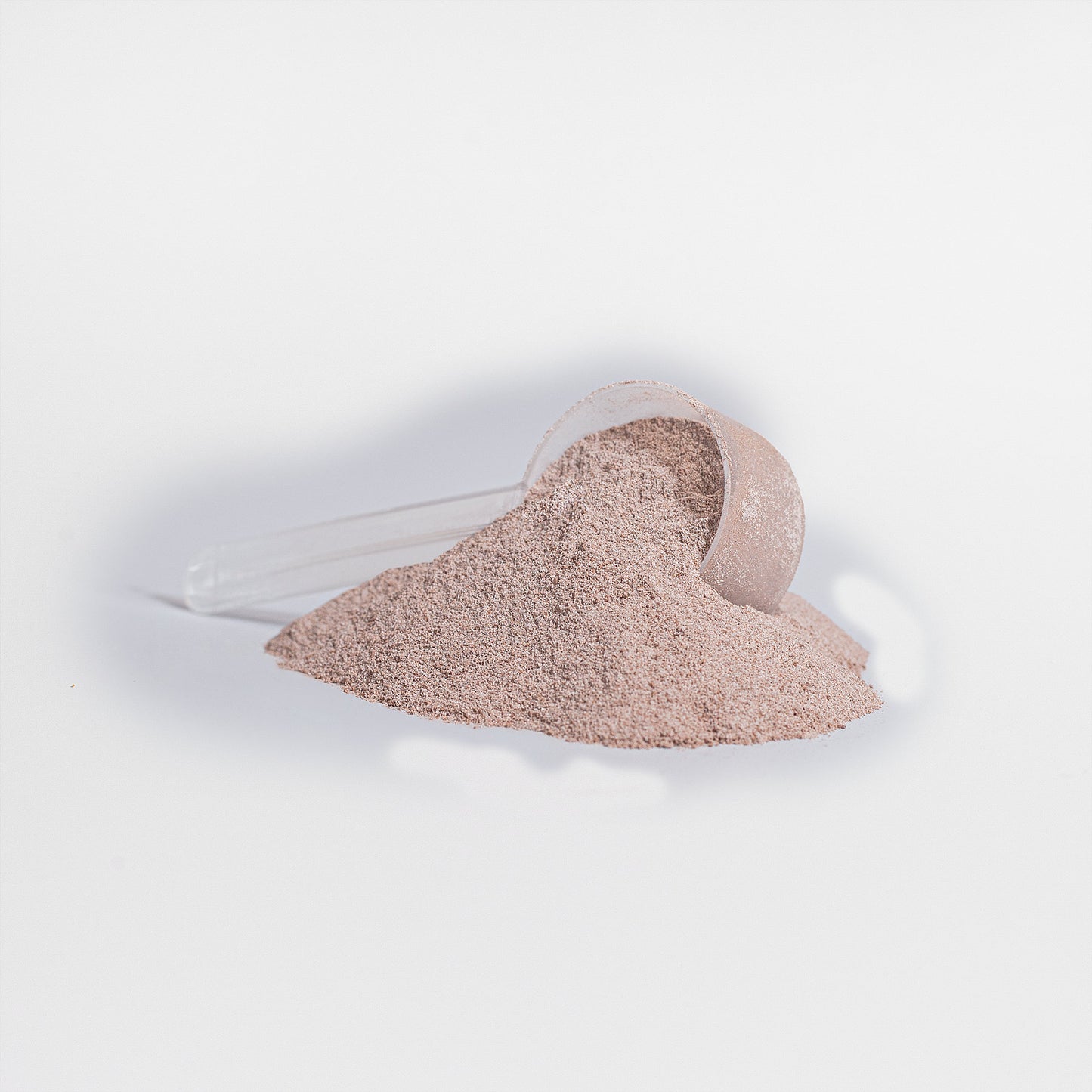 Earth Saliva: Whey Protein Isolate (Vanilla)