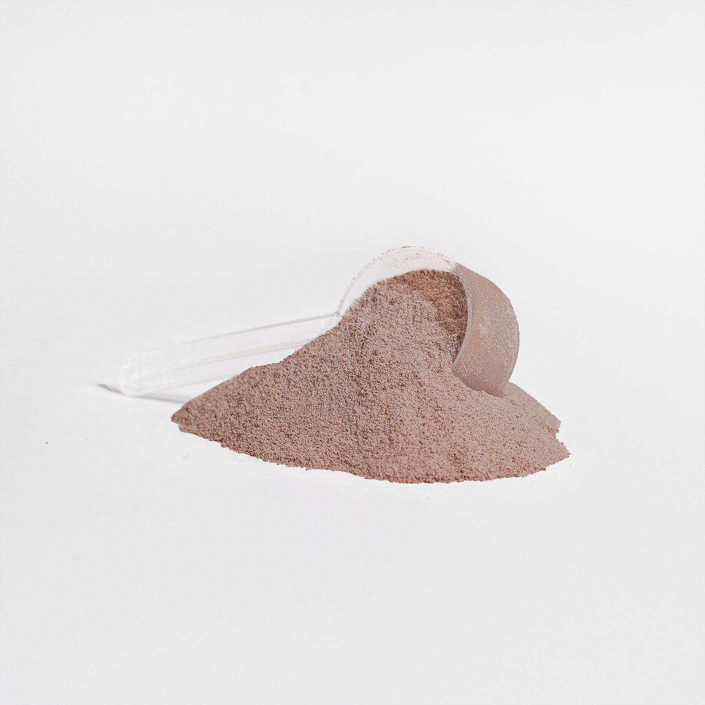 Earth Saliva: Whey Protein Isolate (Chocolate)