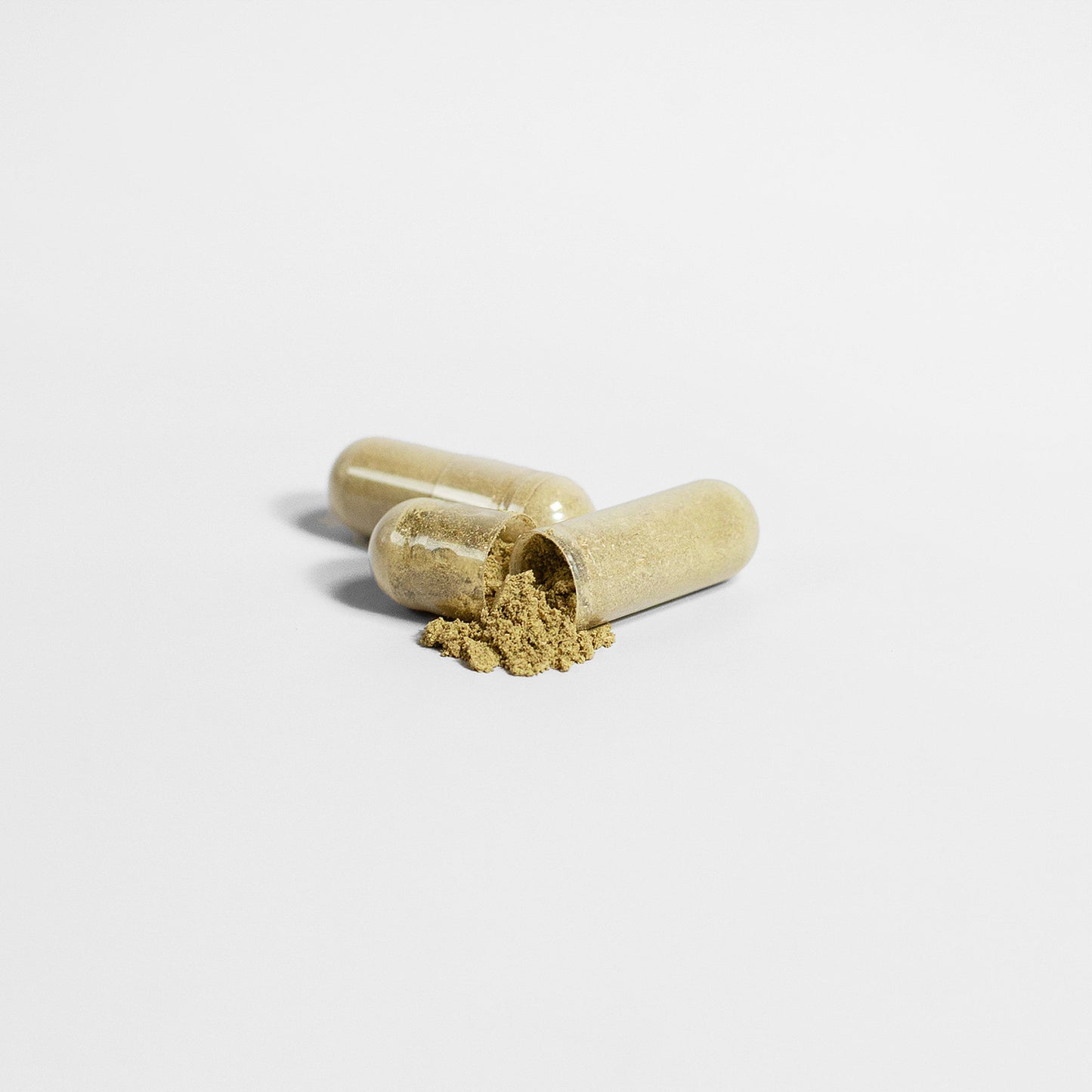 Earth Saliva: Ginkgo Biloba + Ginseng