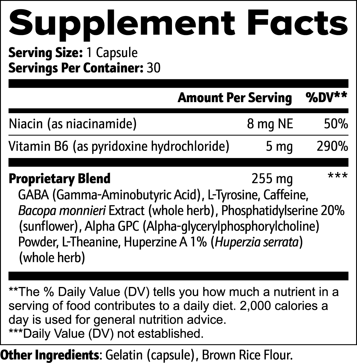 Earth Saliva: Cognitive Support